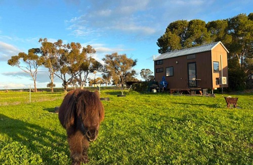Banyena House | Avondale Heights by Tiny Away