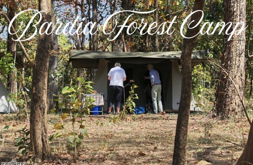 Bardia Other | Bardia Forest Camp