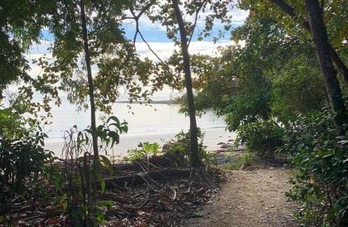 Oak Beach Villa | Beachfront Dolphin Cabin