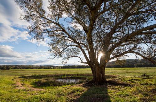 Galambine House | Beaudesert Cottage - Mudgee