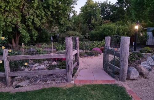 Tenterfield House | Behind the hedge