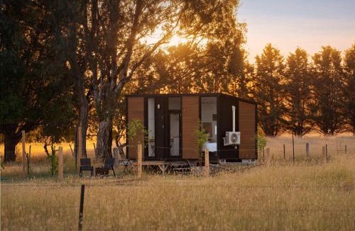 Maindample House | Billy Button by Tiny Away