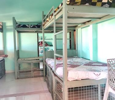 Aryad South Hostel | Birdwatching and kaya king for backpackers