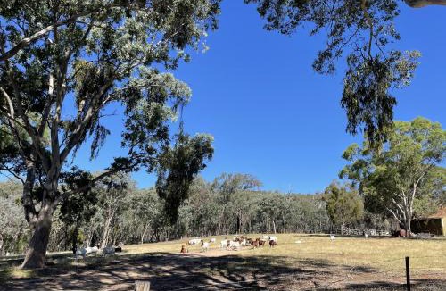 Indigo Valley House | Blue Gate Cottage