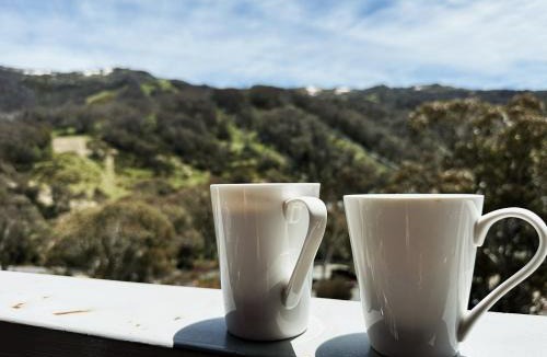 Thredbo Cabin | Boali Lodge Thredbo