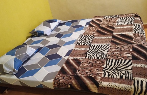 Calangute Apartment | Budget Apartment