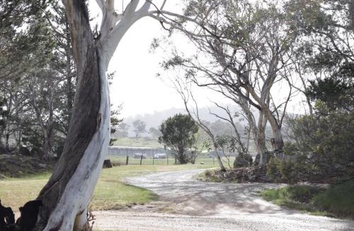 Jindabyne House | Bush Rock Touchdown Cottages