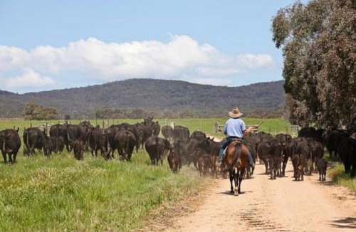 Bungendore House | Butmaroo Station