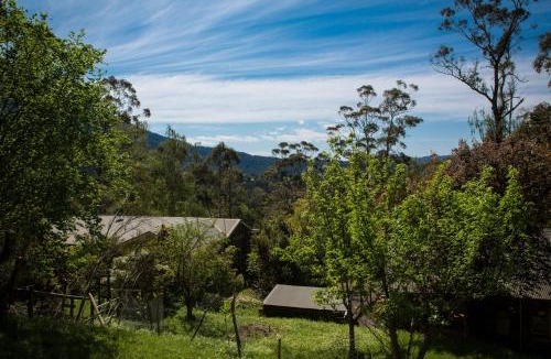 Warburton Bed & Breakfast | Buttercup Hill