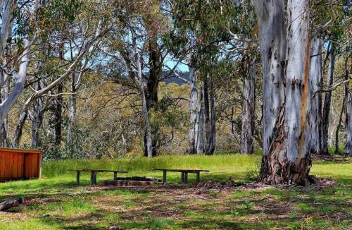 Adaminaby House | Cabin 5 - Snowy Accommodation