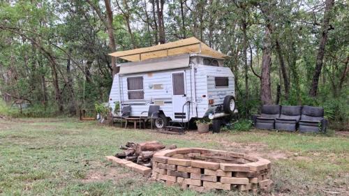 Mount Crosby Other | Caravan Rustic Sunflower