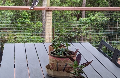 Mitchells Island Cottage | Cedar Cottage on Mitchells Island