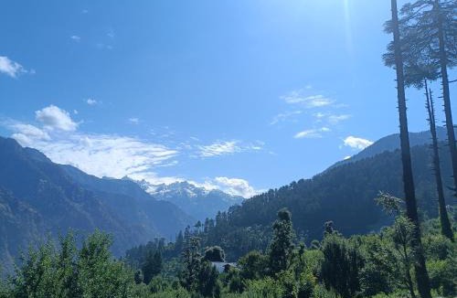 Kullu Villa | Cedar Forest BnB Villa