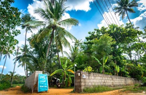 Varkala Hostel | Cliff & Coral