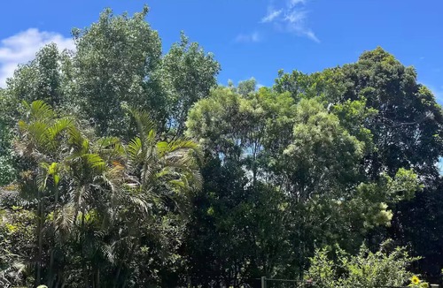 Eungella House | Cloud Cottage Eungella - Family friendly in beautiful rainforest mountain town!