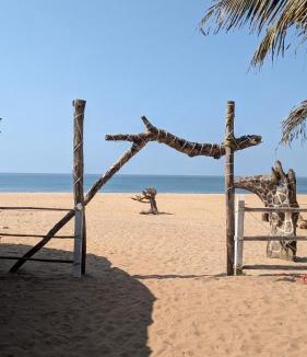 Hireguthi House | Coco Beach Front Stay & Cafe