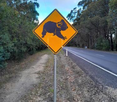 Mallacoota House | Coola Cottage