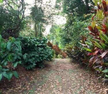 Madikeri Apartment | Coorg climate stay
