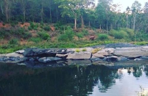 Ontiyangadi House | Coorg -Kunji Phad River View Homestay