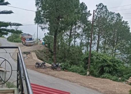 Kandaghat House | Daffodils
