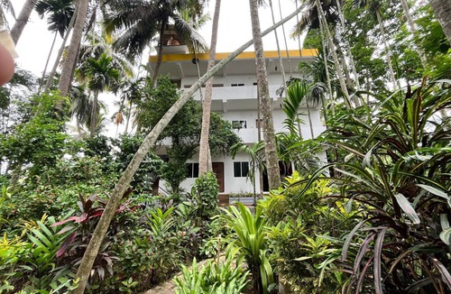 Dandeli Bed & Breakfast | DANDELI RIVER NEST