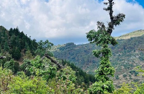 Naina Range Other | Danma Retreat