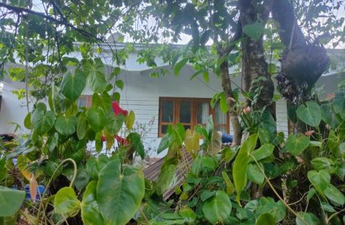 Devikolam House | Decouthas