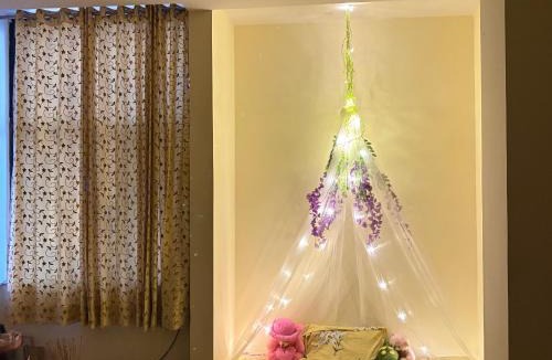 Malviya Nagar Apartment | Dream Dwells