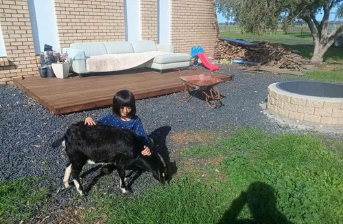Dubbo House | Dubbo Farm