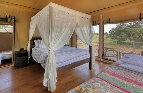 Dubbo Cabin | Dubbo Rhino Lodge