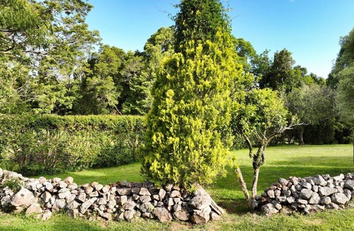 Beaumont House | Dunrose Cottage - Mountain top cottage with amazing views!