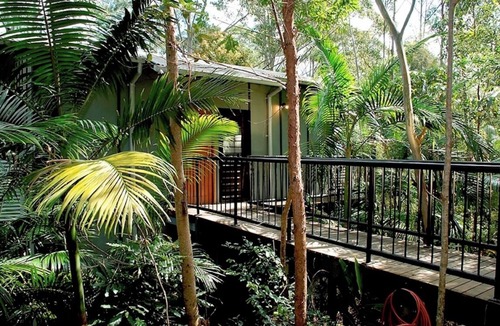 Smiths Creek Ski Chalet | Ecoasis Forest Chalet – Nature Therapy Sanctuary