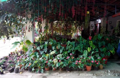 Belur House | Edgestay