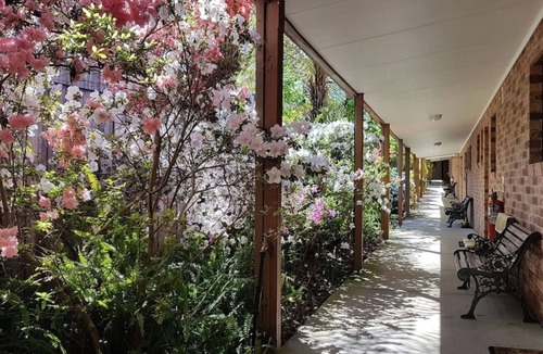 Eildon Hotel | Eildon Parkview Motor Inn. Room 6