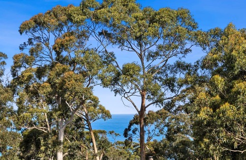 Kennett River House | Elandra - Fun For Everyone