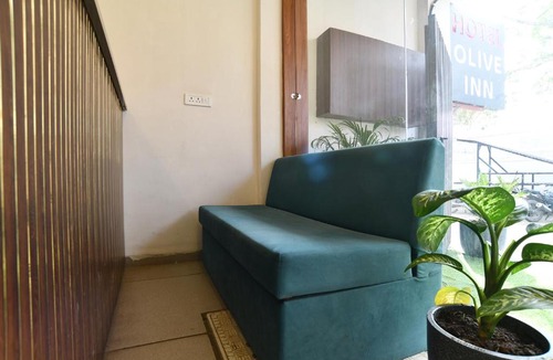 Indore Hotel | FabHotel Olive Inn