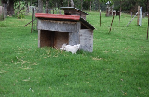 Kangaroo Valley Cabin | Farmstay, Cabins in Beautiful Kangaroo Valley