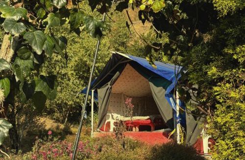 Smanora Range Other | Forest Stay - by TripInterval