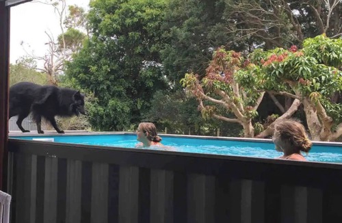 Iluka House | Fully Pet Friendly Home with Pool & Boat Parking