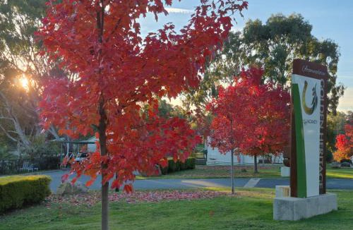 Beechworth Hotel | Golden Heritage Accommodation