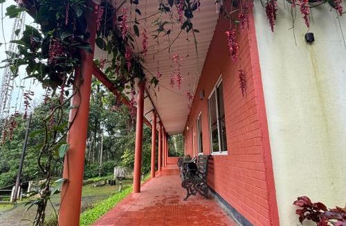 Chikkamagaluru Hotel | Good Earth Swimming Pool Homestay