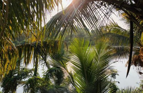 Mandrem Hotel | Grace villa