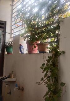 Naini House | Harsh villa