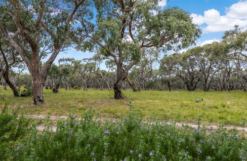 Anglesea House | Haven On Harvey