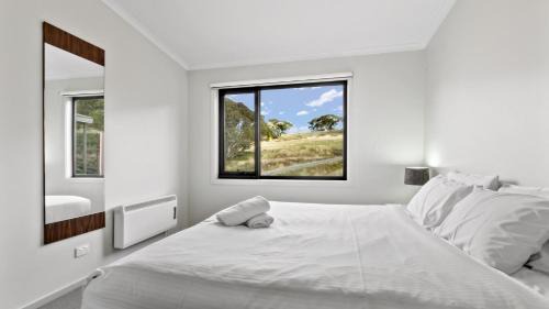 Hotham Heights Apartment | Higgi Drive 4