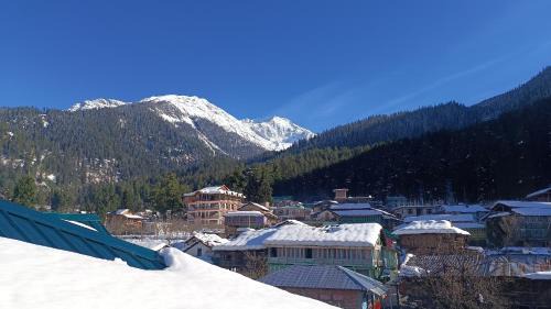 Kullu Hotel | Himalayan bite pulga