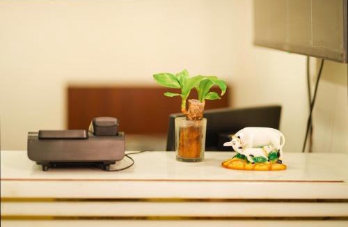 Sarnath Hotel | Hotel KS Palace