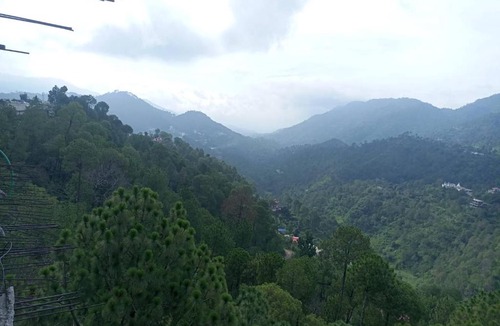 Dharampur Hotel | Hotel Pine View