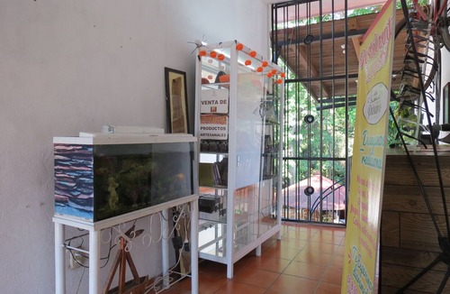 Comala Hotel | Hotel Posada Comala