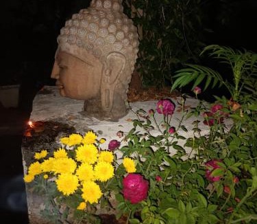 Khajuraho Hotel | Hotel Zen